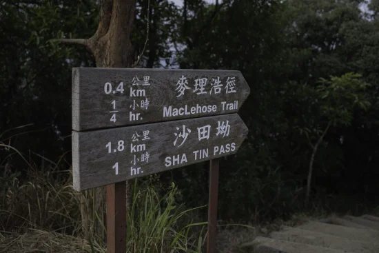 Climb High and Look Far 2026